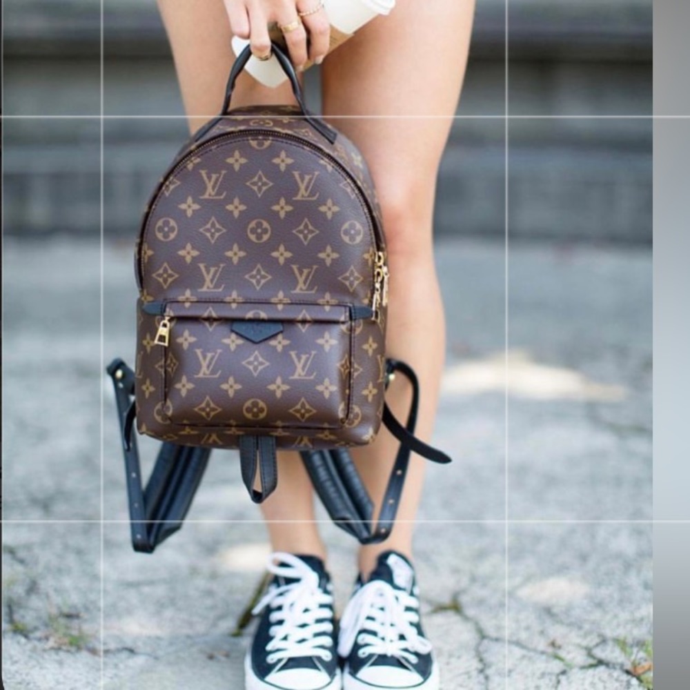 Louis Vuitton monogram Palm Springs backpack small PM